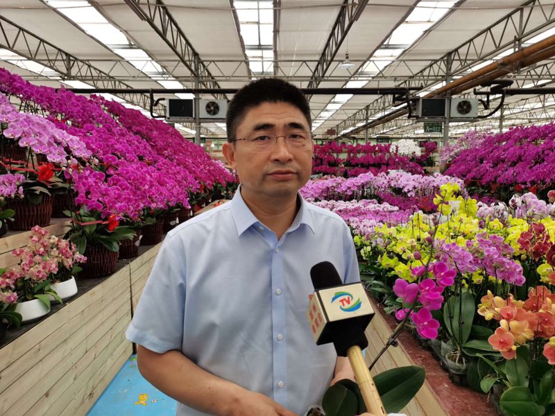 蝴蝶兰协会会员:携手共创美好未来