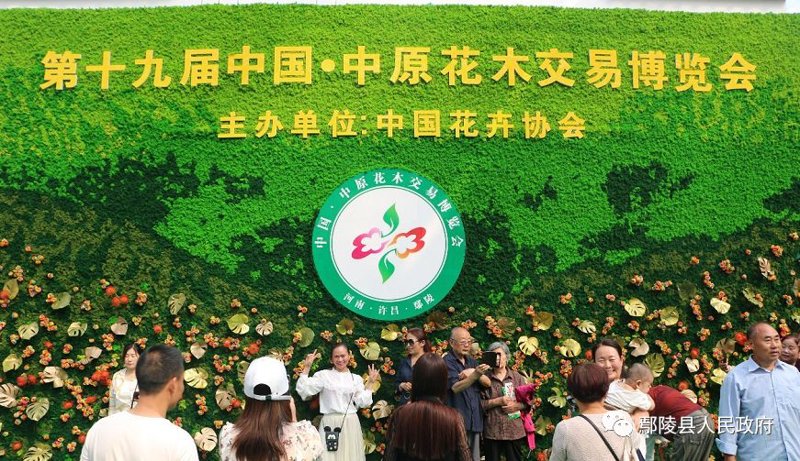 蝴蝶兰协会:引领兰花文化新风尚