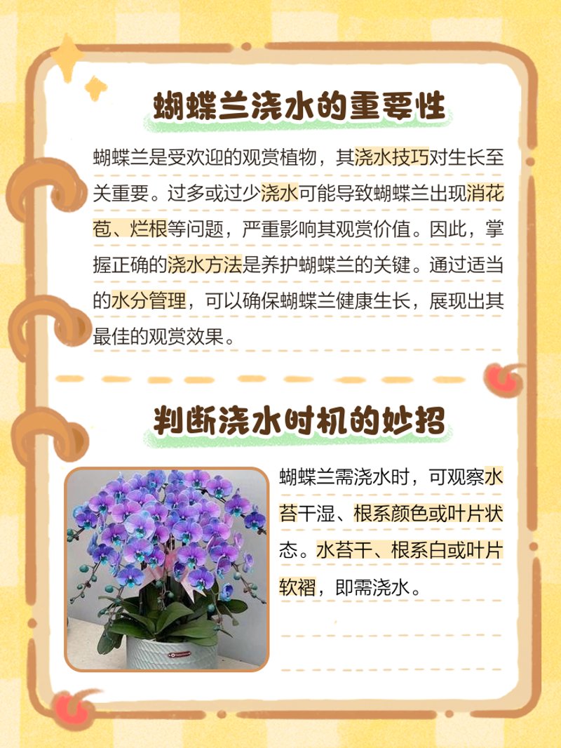 蝴蝶兰种植:绽放美丽的同时领略园艺艺术的魅力